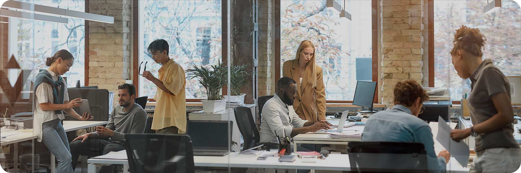 Office Collaboration