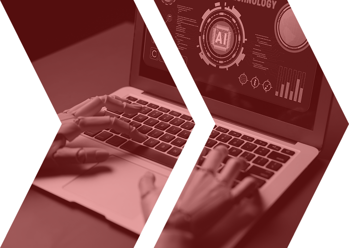 Web Application Consulting