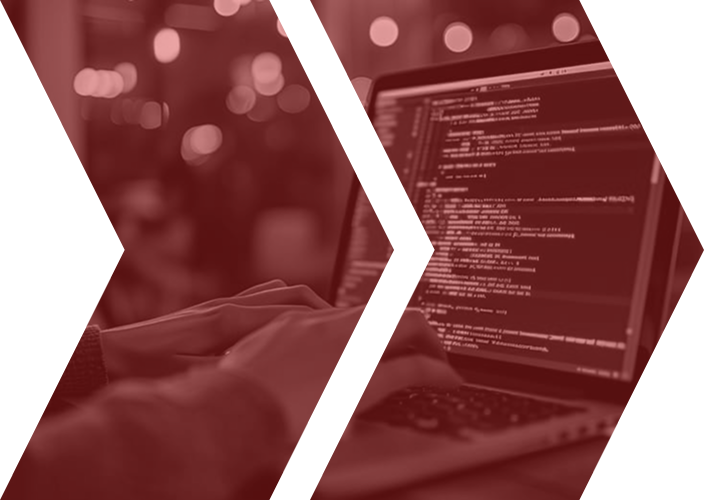 Custom Software with AI