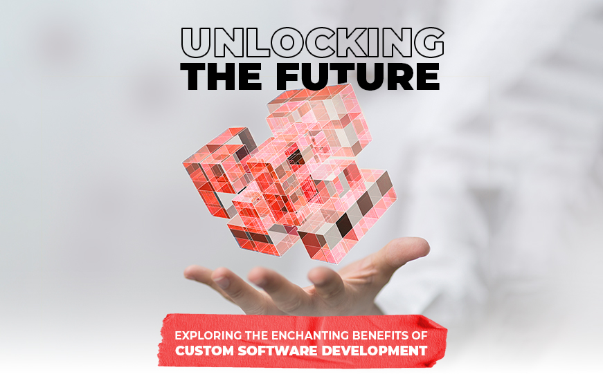 Unlocking the Future: Exploring the Enchanting Benefits of Custom Software Development